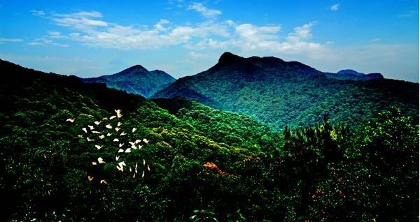 花都區(qū)出臺“白金十條”促進(jìn)旅游產(chǎn)業(yè)發(fā)展，最大一項(xiàng)政策獎勵達(dá)2000萬元???
