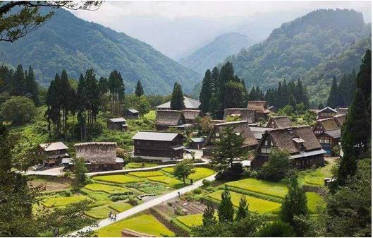 國務(wù)院：推動貧困地區(qū)產(chǎn)品和服務(wù)融入全國大市場，助力打贏脫貧攻堅戰(zhàn)、推進實施鄉(xiāng)村振興戰(zhàn)略?