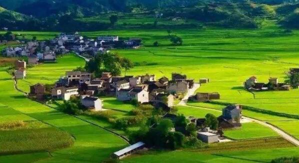 去年全國鄉(xiāng)村旅游總?cè)舜螢?0.9億人次，同比增加9.7%