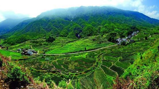 咸寧重振雄風(fēng)推進(jìn)茶文旅融合，做深做優(yōu)做強(qiáng)茶產(chǎn)業(yè)