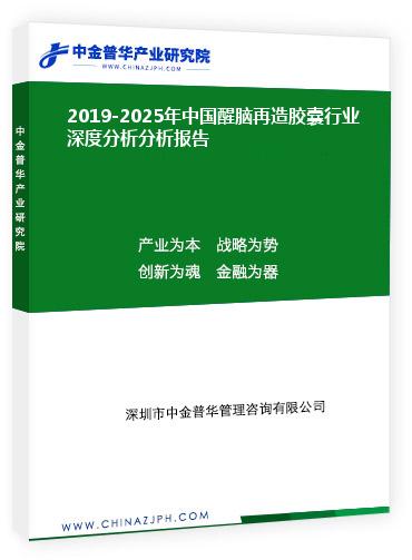 2019-2025年中國醒腦再造膠囊行業(yè)深度分析分析報(bào)告