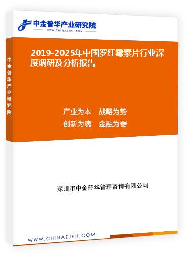 2019-2025年中國羅紅霉素片行業(yè)深度調(diào)研及分析報(bào)告