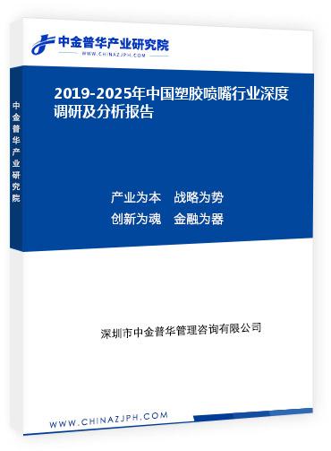 2019-2025年中國(guó)塑膠噴嘴行業(yè)深度調(diào)研及分析報(bào)告
