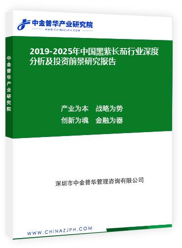 2019-2025年中國黑紫長茄行業(yè)深度分析及投資前景研究報(bào)告